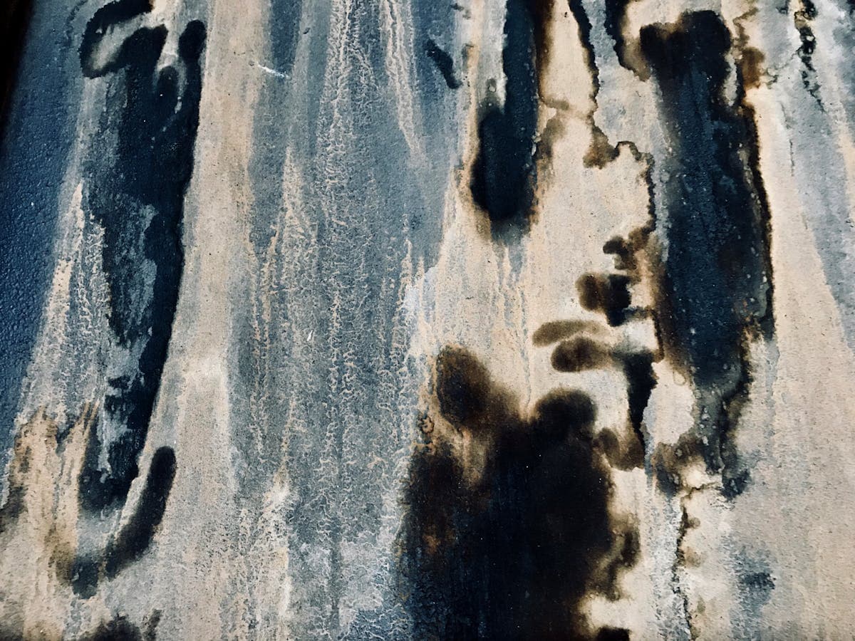 Black mold stains on a weathered wall surface showing visible fungal growth that produces the characteristic musty odor in damp conditions