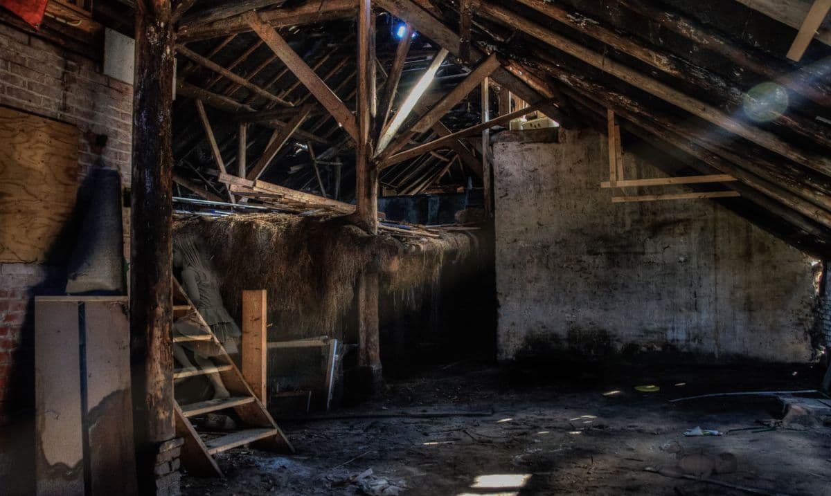 Attic in a Dallas-Fort Worth home with exposed wooden beams and blown-in insulation, the confined space where attic mold grows after a roof leak or AC condensation problem