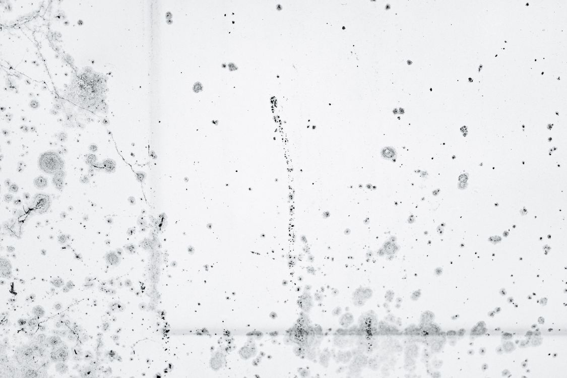 Black mold spore growth on a wall following an AC condensate drain overflow water damage in a DFW home
